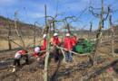 Active operation of the Gumi National Forest Management Office’s Agricultural By-product Crushing Support Team