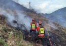 Heatwave continues for days, high temperatures and dryness… “Beware of forest fires”